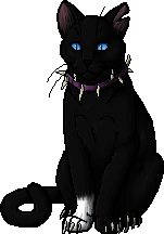 an image of Scourge from Warrior Cats. He is a black cat with a white left paw and blue eyes. He wears a purple collar embedded with spikes.