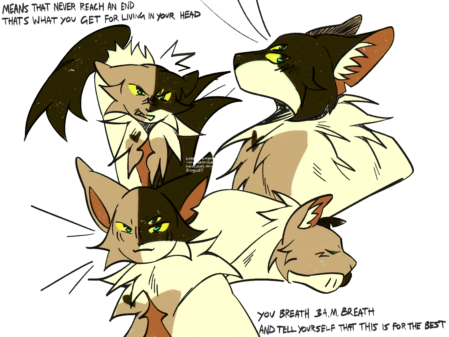 A sketchpage of a calico cat with three eyes. In one drawing she is snarling, in another she is sleeping, in another she is smiling, and in the last she is in side profile. There are lyrics reading: means that never reach an end, thats what you get for living in your head, you breath 3 A. M. breath, and tell yourself that this is for the best.